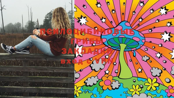 сатива Лихославль