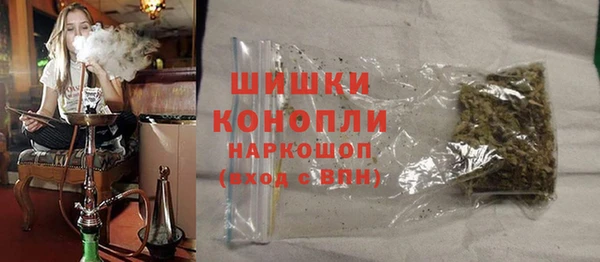 сатива Лихославль