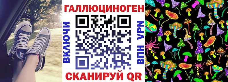Купить  Шумерля  Псилоцибиновые грибы мицелий 